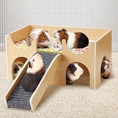 Upgraded guinea pig for sale  Delivered anywhere in USA 