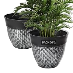 Garden plant flower for sale  Delivered anywhere in UK
