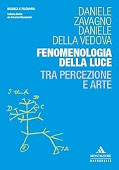 Fenomenologia della luce. usato  Spedito ovunque in Italia 