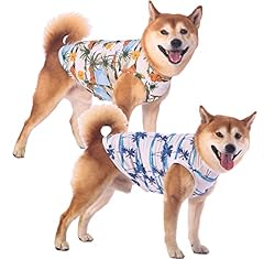 Sychien hawaiian dog for sale  Delivered anywhere in USA 