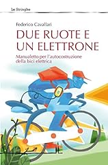 Due ruote elettrone. usato  Spedito ovunque in Italia 