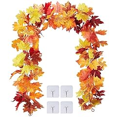 Cooluck stück herbst gebraucht kaufen  Wird an jeden Ort in Deutschland