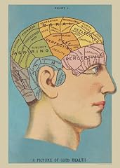 Poster phrenology vintage usato  Spedito ovunque in Italia 