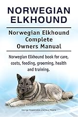 Norwegian elkhound. norwegian for sale  Delivered anywhere in UK
