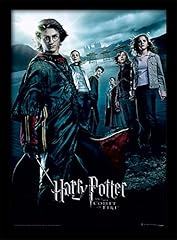 Harry potter fp10686p for sale  Delivered anywhere in UK