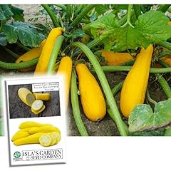 Early prolific yellow for sale  Delivered anywhere in USA 