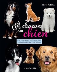 Chien beaux chiens d'occasion  Livré partout en France