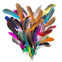 Laeeyin piume colorate usato  Spedito ovunque in Italia 