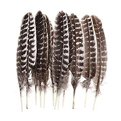 20pcs wild turkey for sale  Delivered anywhere in USA 