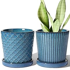 Tauci ceramic plant for sale  Delivered anywhere in USA 