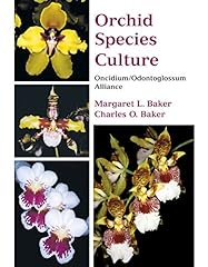 Orchid species culture for sale  Delivered anywhere in USA 