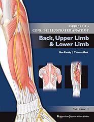Back upper limb usato  Spedito ovunque in Italia 