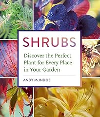 Shrubs discover perfect for sale  Delivered anywhere in USA 