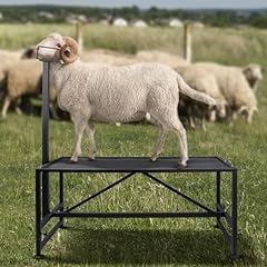 Beaucom livestock stand for sale  Delivered anywhere in USA 