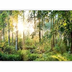 Murando vlies fototapete gebraucht kaufen  Wird an jeden Ort in Deutschland