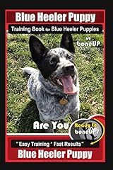 Blue heeler puppy for sale  Delivered anywhere in USA 