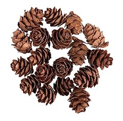 Rayher tannenzapfen mini gebraucht kaufen  Wird an jeden Ort in Deutschland