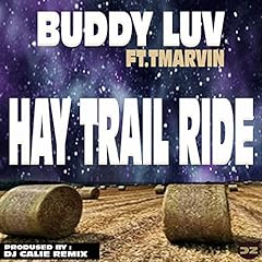 Hay trail ride for sale  Delivered anywhere in USA 