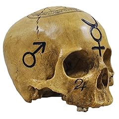 Skull witchcraft skull for sale  Delivered anywhere in UK