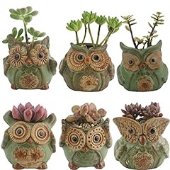 Ogrmar 6pack owl for sale  Delivered anywhere in USA 