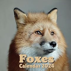Foxes calendar 2024 for sale  Delivered anywhere in UK