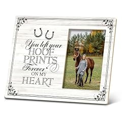 Sradmo horse pet for sale  Delivered anywhere in USA 