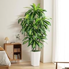 Artificial dracaena tree for sale  Delivered anywhere in USA 
