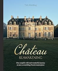 Chateau reawakening one d'occasion  Livré partout en France