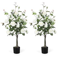 Romantic season 2pack for sale  Delivered anywhere in USA 