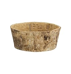 Napco birchbark decorative for sale  Delivered anywhere in USA 
