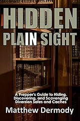 Hidden plain sight for sale  Delivered anywhere in USA 