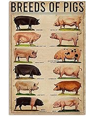 Laminated posters. breeds for sale  Delivered anywhere in USA 
