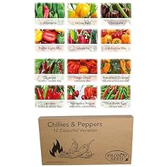 Pronto seed chillies for sale  Delivered anywhere in UK