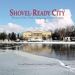 Shovel ready city gebraucht kaufen  Wird an jeden Ort in Deutschland