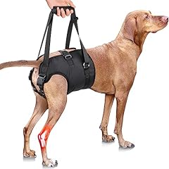 Pzrlit dog lift for sale  Delivered anywhere in Ireland