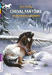 Cheval fantôme poulain d'occasion  Livré partout en France