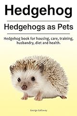 Hedgehog. hedgehogs pets. for sale  Delivered anywhere in Ireland