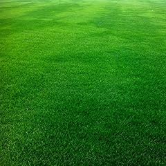 Haloppe 10000 festuca usato  Spedito ovunque in Italia 