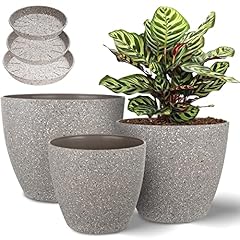Vanavazon plant pots for sale  Delivered anywhere in USA 