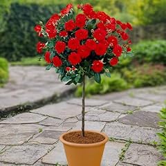 Yougarden patio standard for sale  Delivered anywhere in UK