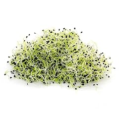 Italian sprout semi usato  Spedito ovunque in Italia 