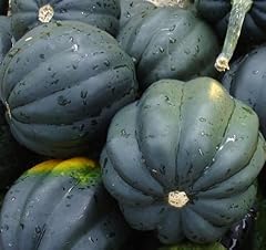 Squash seeds table for sale  Delivered anywhere in USA 