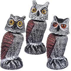 Hausse pack bird for sale  Delivered anywhere in USA 