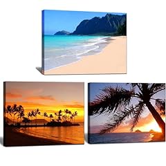 Okexckk beach sunset for sale  Delivered anywhere in USA 