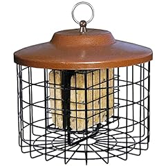 Birds squirrel double for sale  Delivered anywhere in USA 
