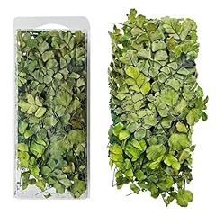 Woohome miniature root d'occasion  Livré partout en France