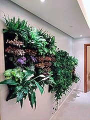 Delectable garden indoor for sale  Delivered anywhere in USA 