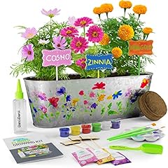 Paint plant flower for sale  Delivered anywhere in USA 