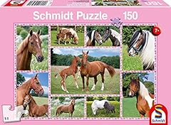 Schmidt beautiful horses for sale  Delivered anywhere in UK