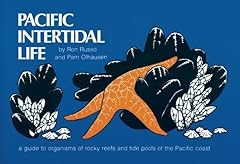 Pacific intertidal life for sale  Delivered anywhere in USA 